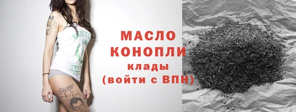 гашик Сосновка