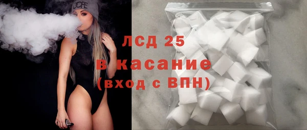 прущие грибы Белокуриха