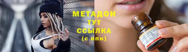 прущие грибы Белокуриха