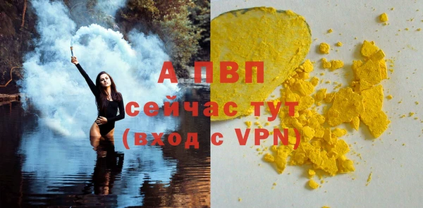 прущие грибы Белокуриха