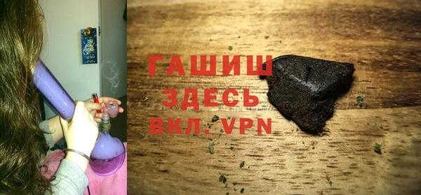 прущие грибы Белокуриха