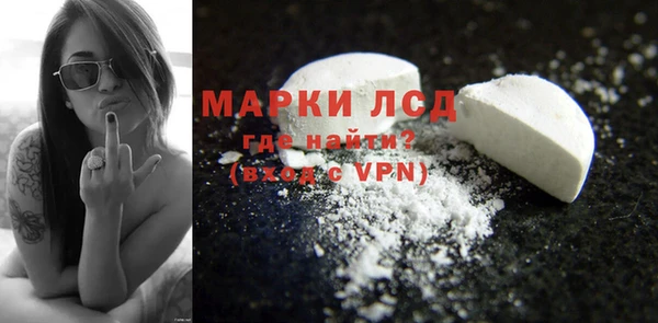 гашик Сосновка