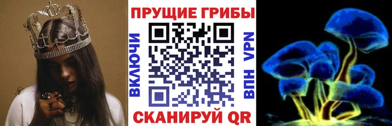 Галлюциногенные грибы мухоморы Нерюнгри